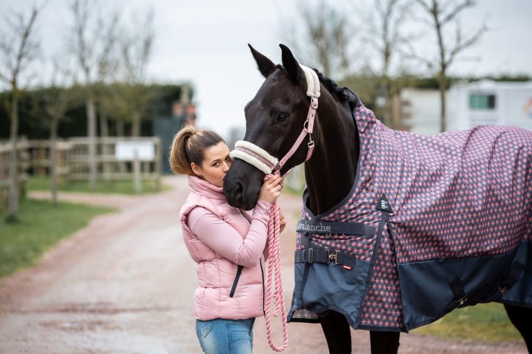 5 Ways to Celebrate Valentine’s Day with Your Horse