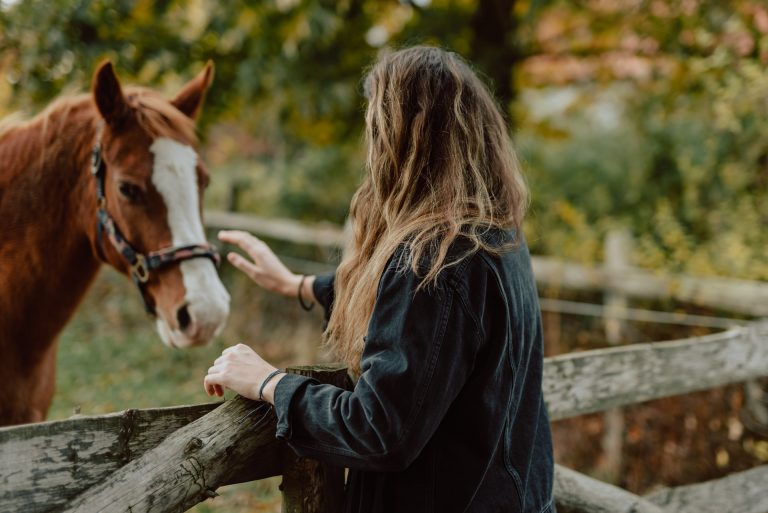Horse Health Signs That Every Horse Owner Should Know