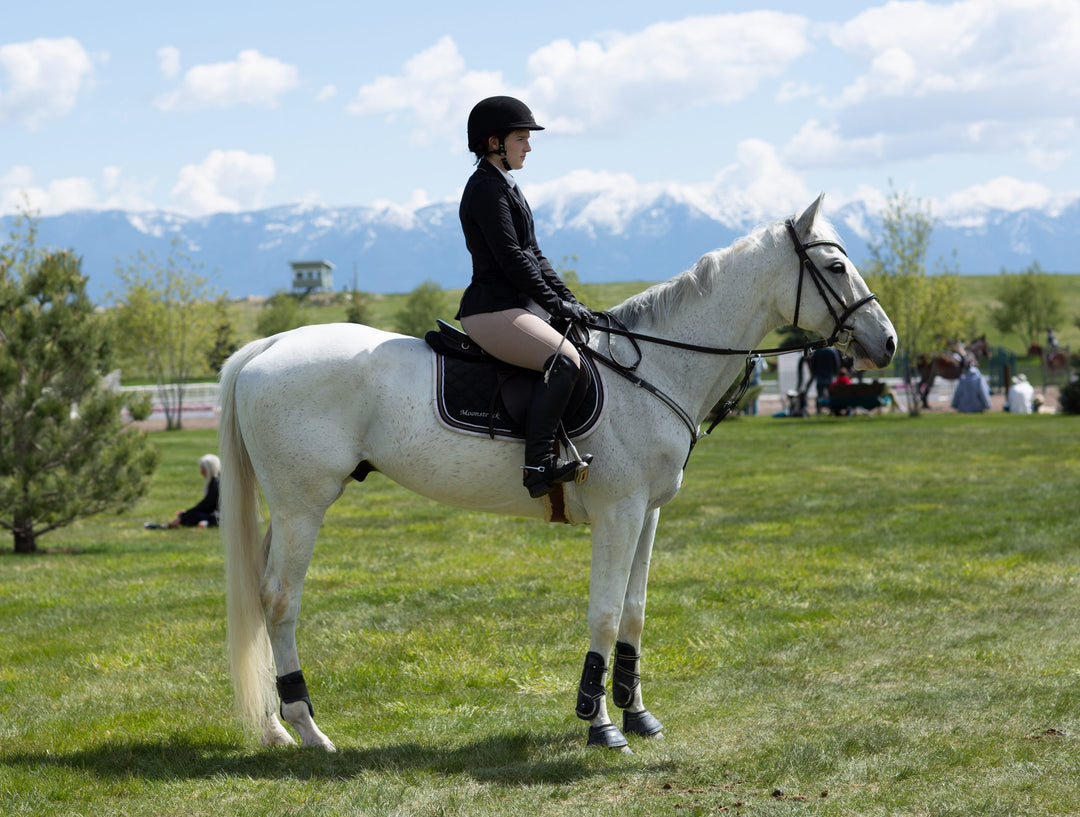 Everything You Need to Know About English Riding Seat Positions