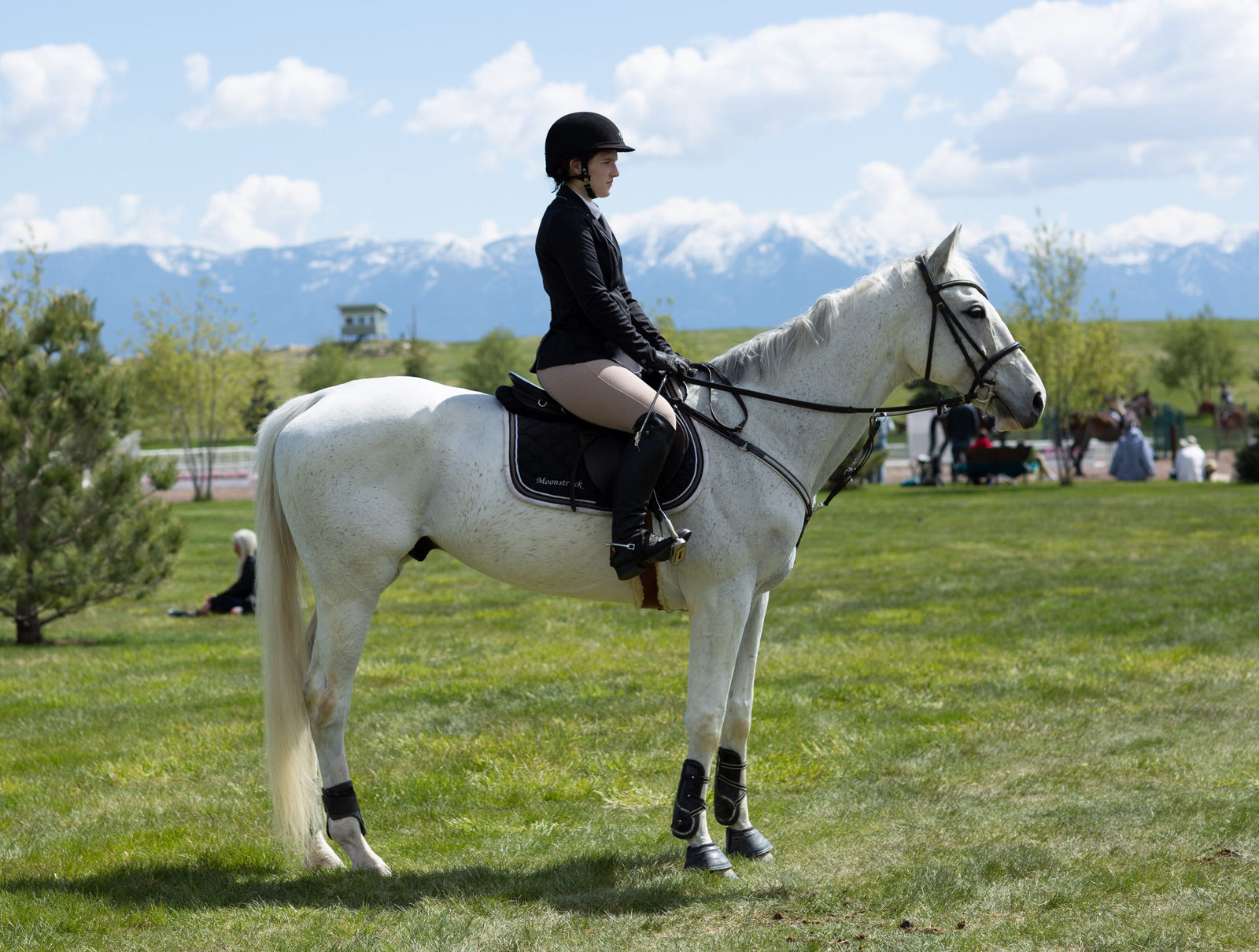 Everything You Need to Know About English Riding Seat Positions