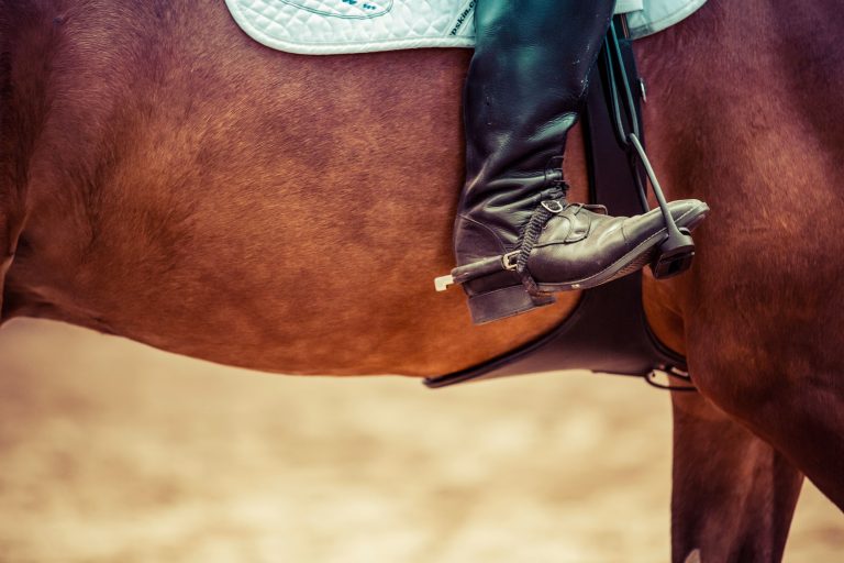 9 Ways Natural Horsemanship Can Make You a Better Equestrian