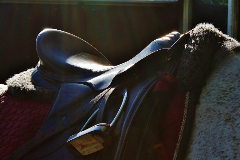 How to Choose the Right Saddle