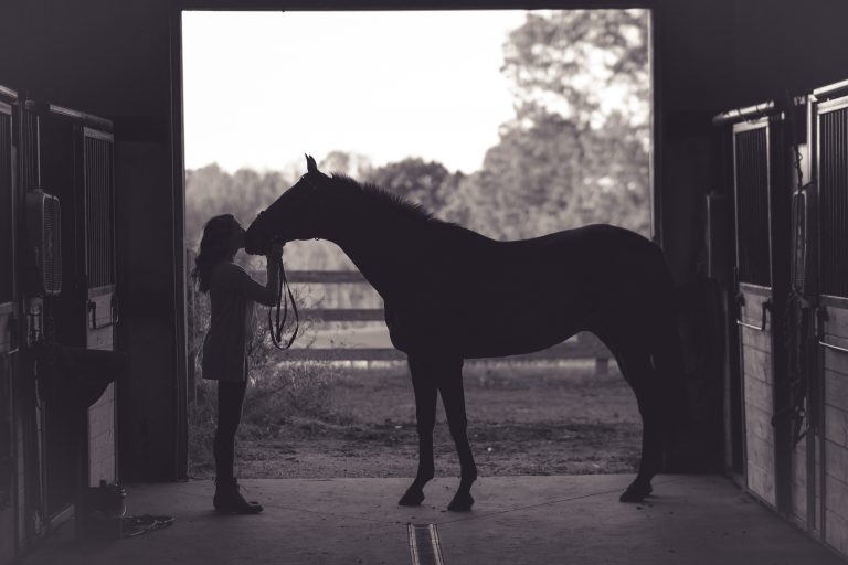 Are You Ready to Buy a Horse? 10 Key Things to Consider