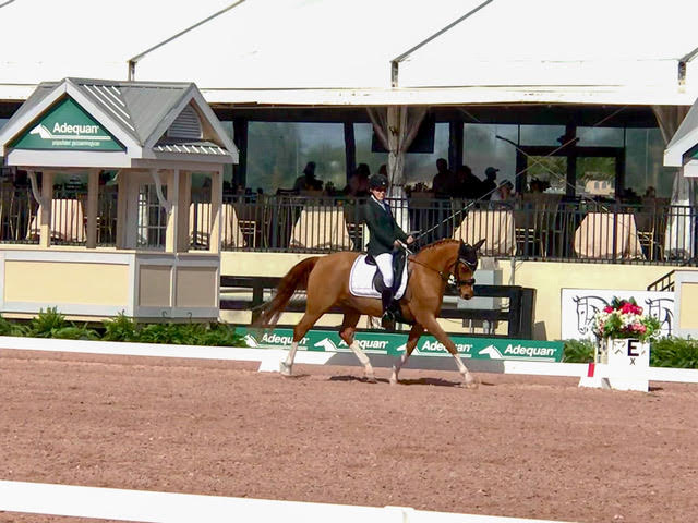 Pandemic to Paralympics: The Incredible Dressage Story of Alanna Flax-Clark