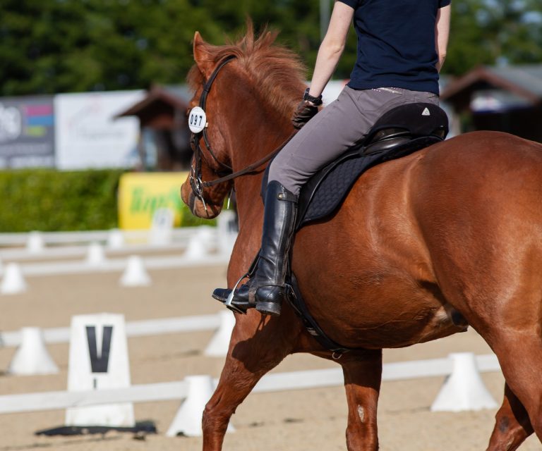 How Do Judges Actually Score Dressage Tests?