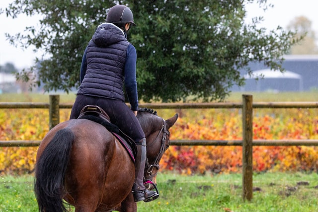 How to Turn Your Horse Without Pulling the Inside Rein