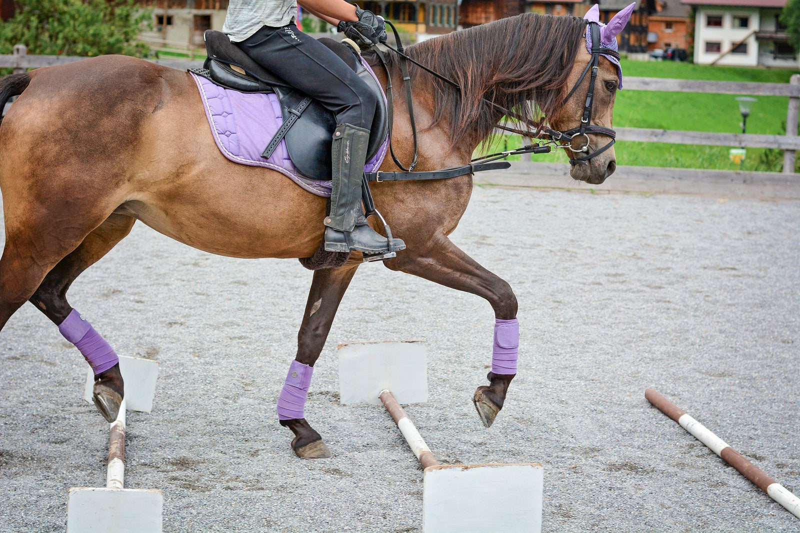 How to Post the Correct Diagonal in Trot