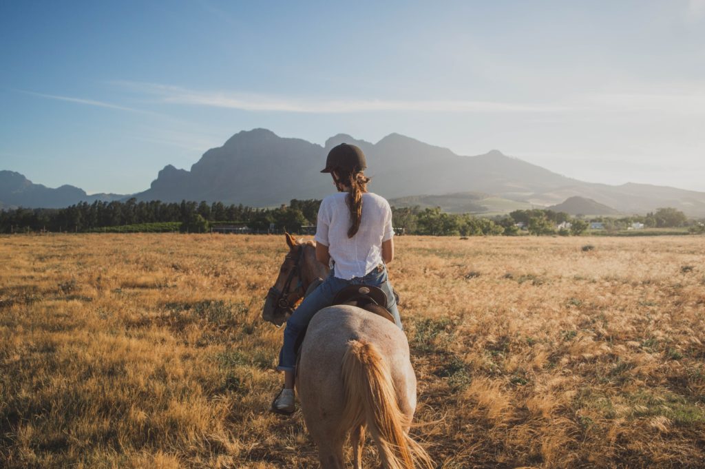 How to Get an Amazing Connection with Your Horse (Story)