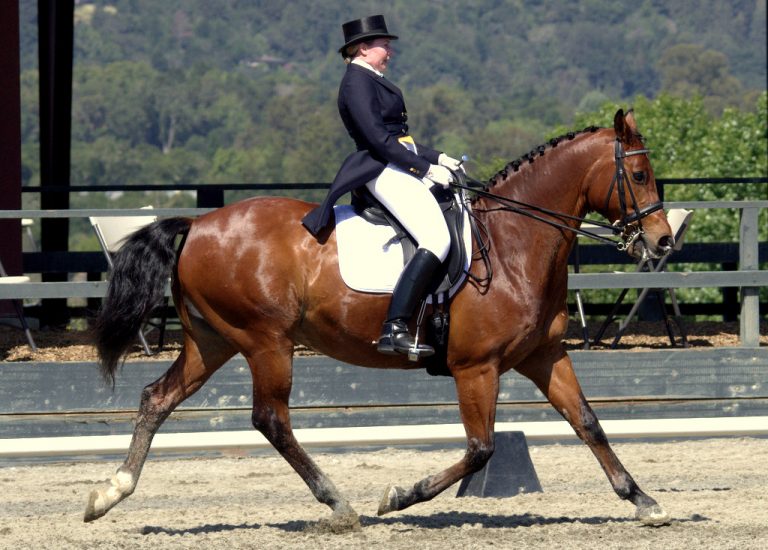What’s the Difference Between Speed and Impulsion, Anyway?