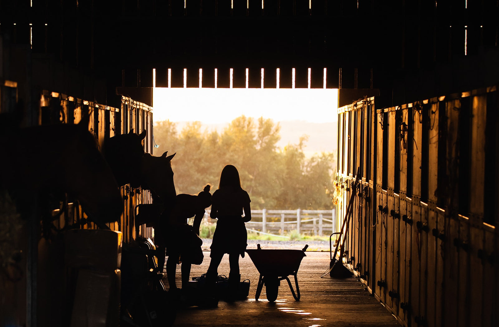 8 Tips to Help You Balance School and Riding