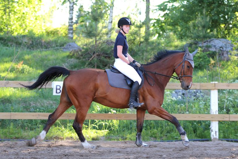 4 Exercises for a More Balanced Canter