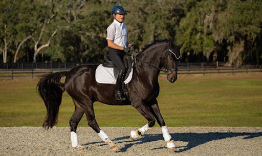 Horse Leg Protection Guide: Types of Horse Boots and Leg Wraps