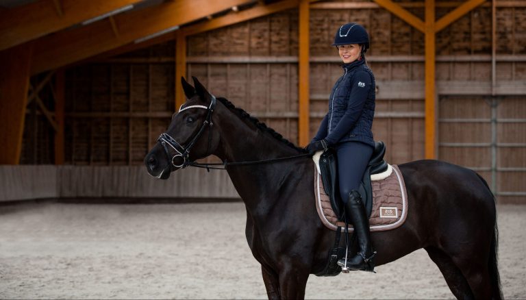 How to Get Involved with Horses Without Buying a Horse