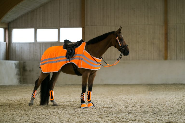 Reflective Riding Apparel & Horse Gear - Product Guide