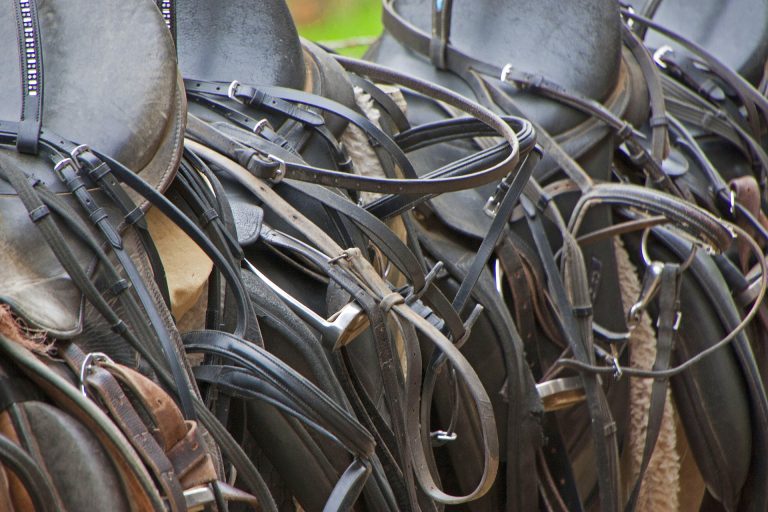 How to Care for Horse Tack Year-Round