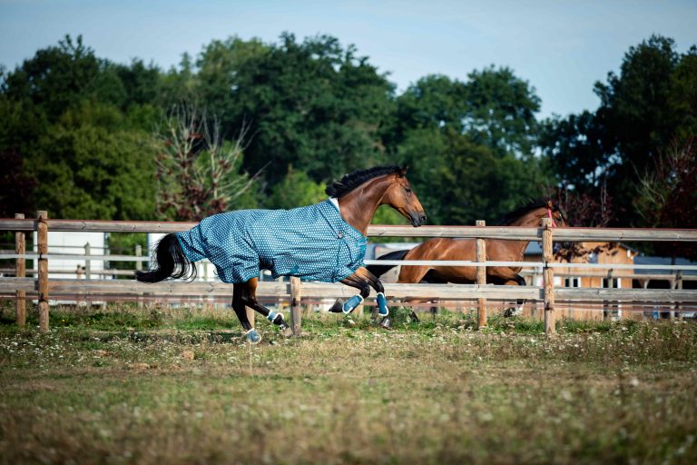 Everything You Need to Know About Rain Sheets