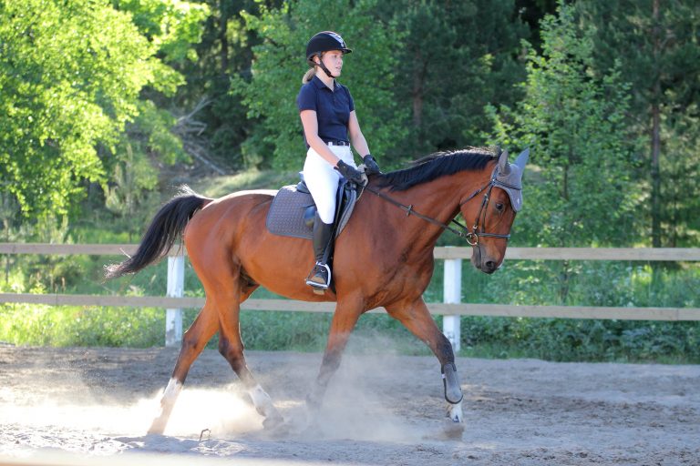 How to Post the Trot on Your Horse