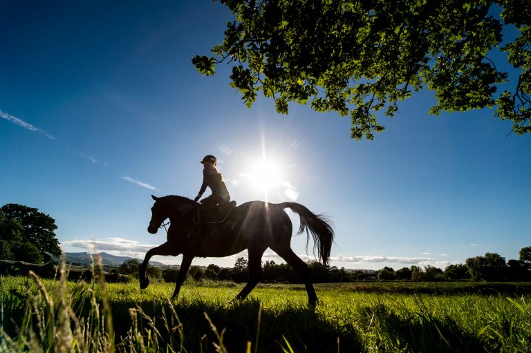 How to Save Money Owning a Horse (49+ Tips)
