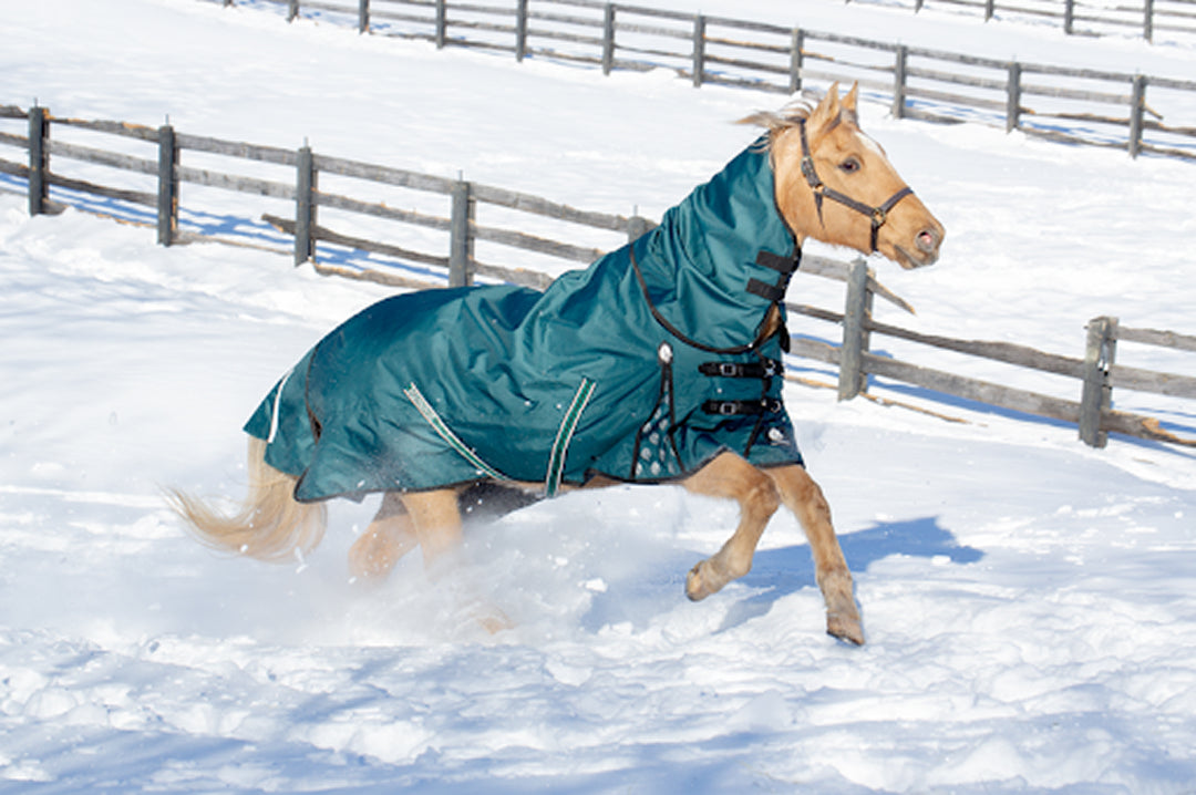 Blanketing 101