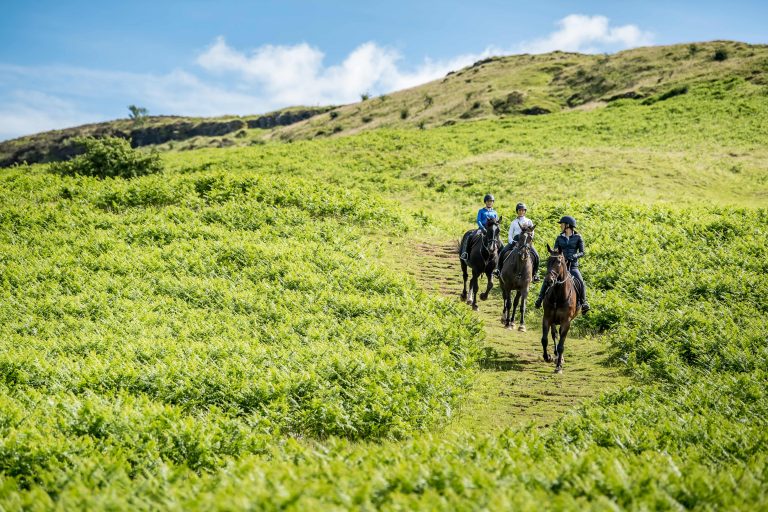 4 Ways Hill Work Benefits Your Horse