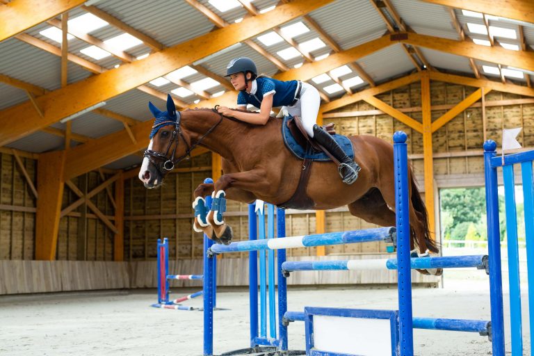 Dressage vs. Show Jumping: What’s More Difficult and What You Need to Know