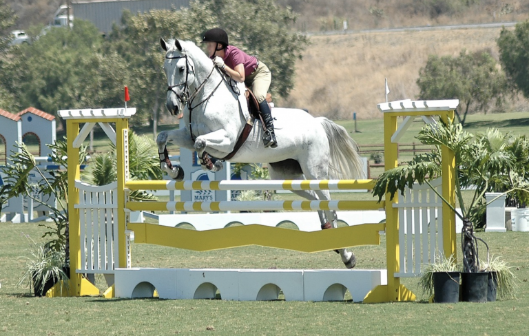 The Difference Between Hunters and Jumpers