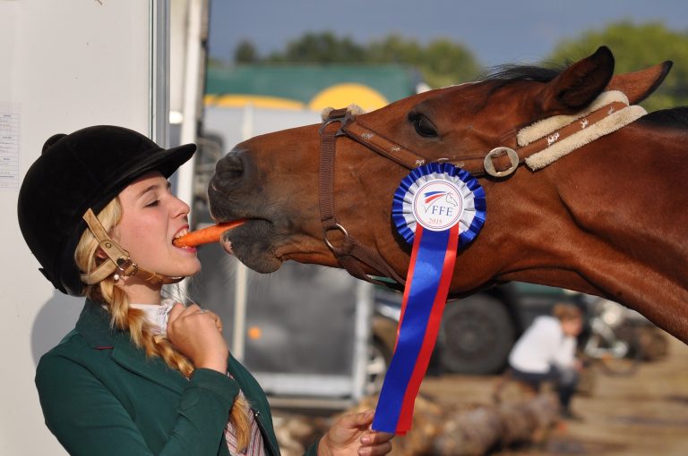 How to Protect Your Horse's Gut During Show Season