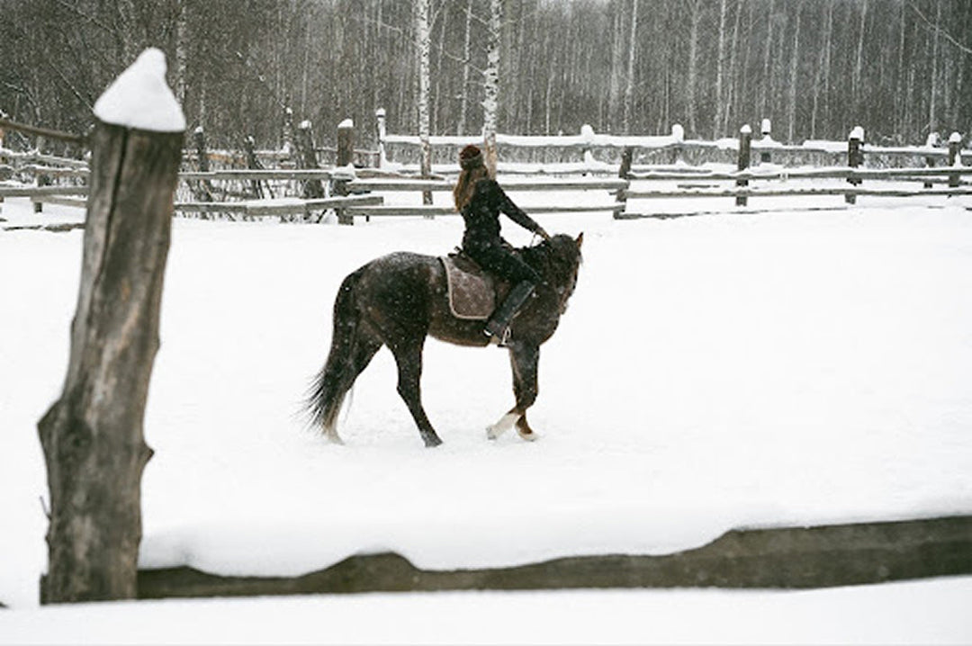 5 Subtle Signs Your Horse May Be Struggling With Digestion