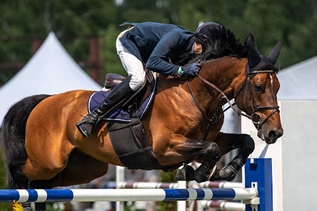 Must-Attend Horse Shows in 2025: A Guide for Equestrian Enthusiasts