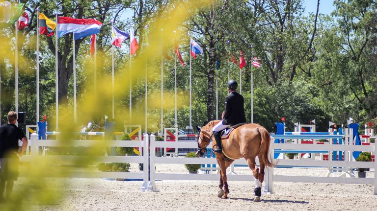 How to Keep Your Horse Healthy at a Show