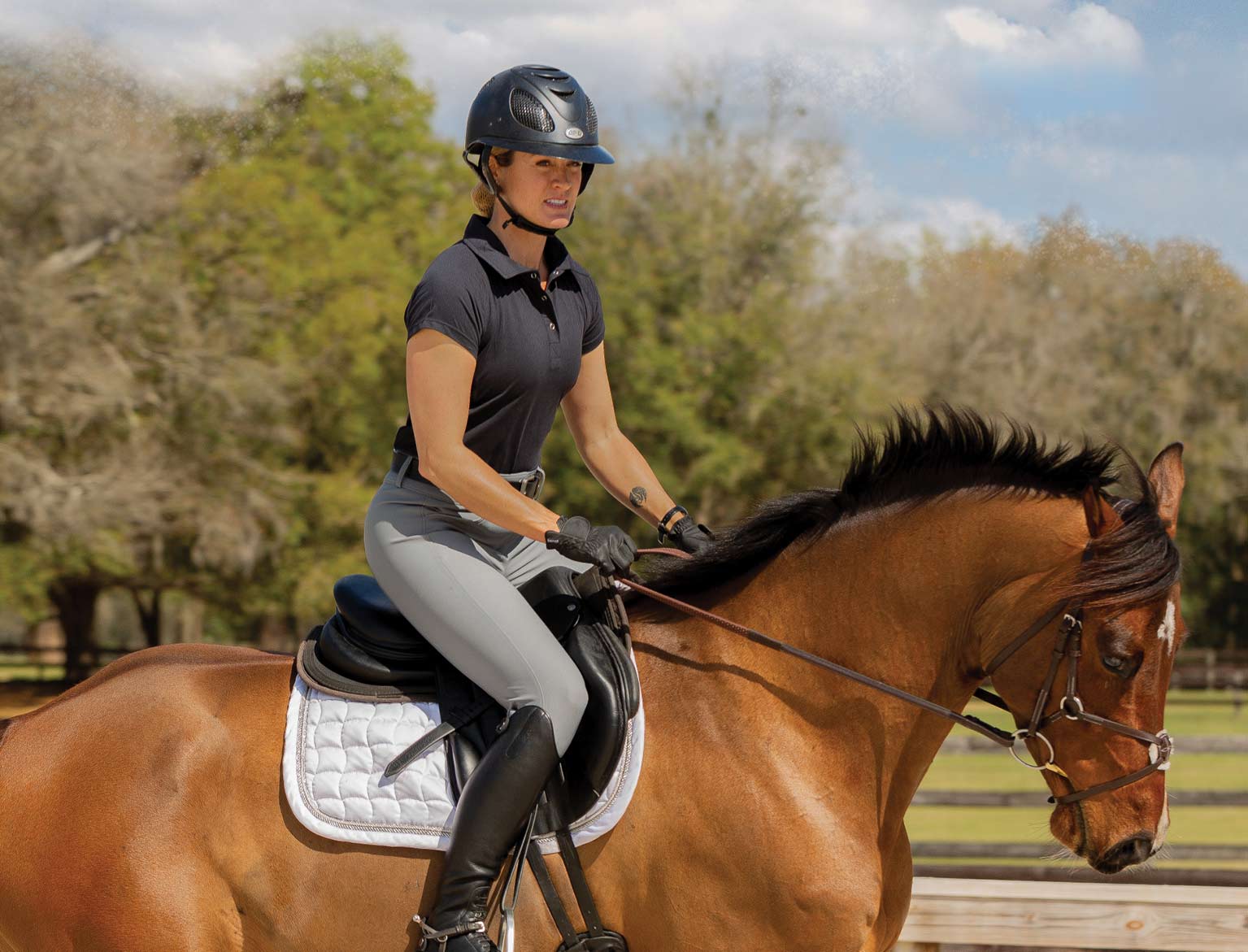 Ashley Kehoe - A Journey of Passion and Dedication