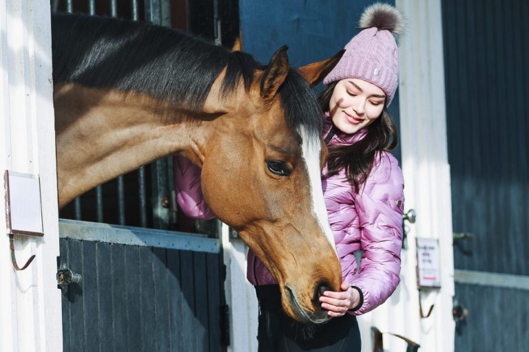 How to Help Your Horse Thrive This Winter