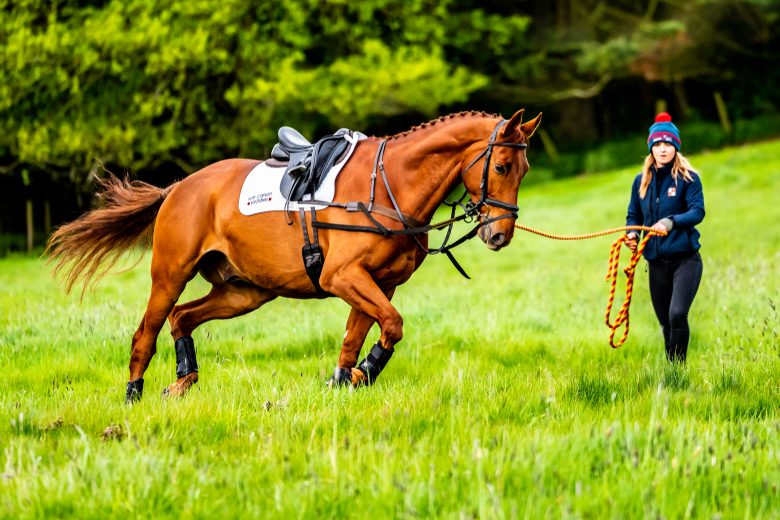 Lunging vs. Riding: Which is Best?
