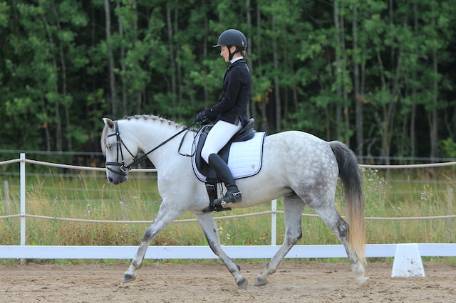 The Difference Between Bend and Flexion