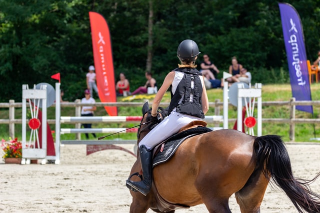 The Tried-and-True Way to Get Your Horse More Forward