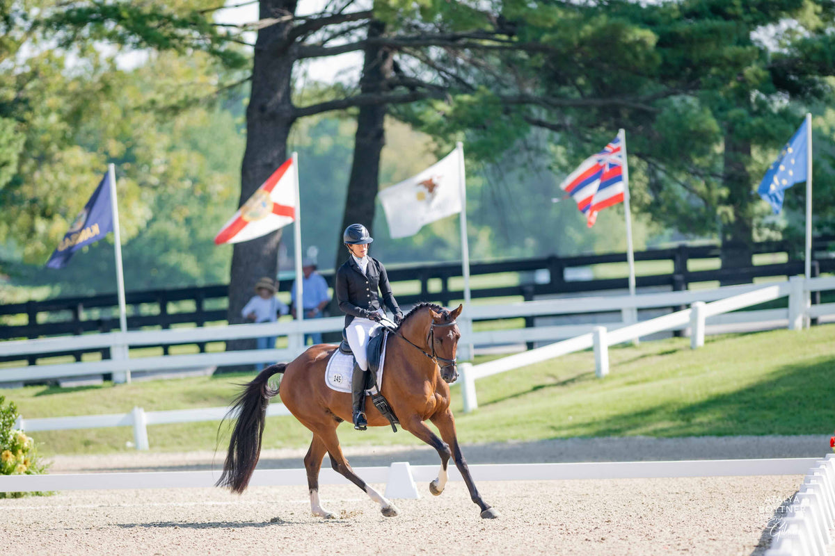 How to Keep Your Horse Healthy at a Show
