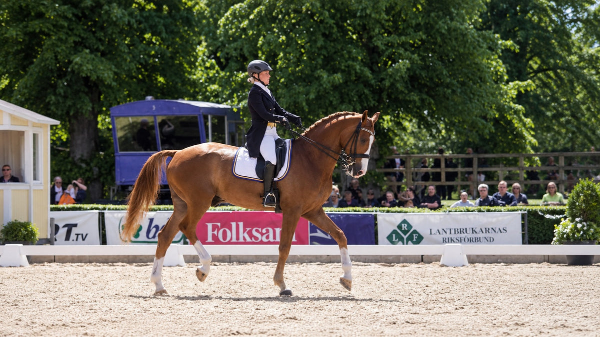 4 Areas Riders Lose Marks at Dressage Shows