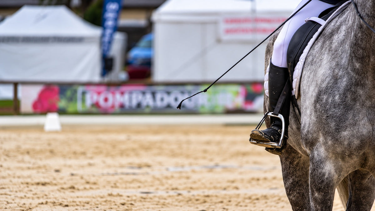 The Dressage Scales of Training: Impulsion (Part 4 of 6)