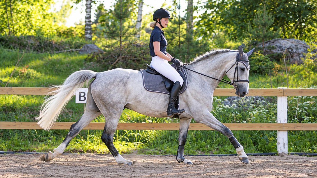 4 Exercises for a More Balanced Canter
