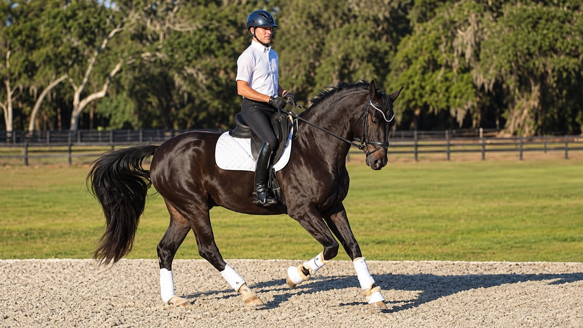 Horse Leg Protection Guide: Types of Horse Boots and Leg Wraps