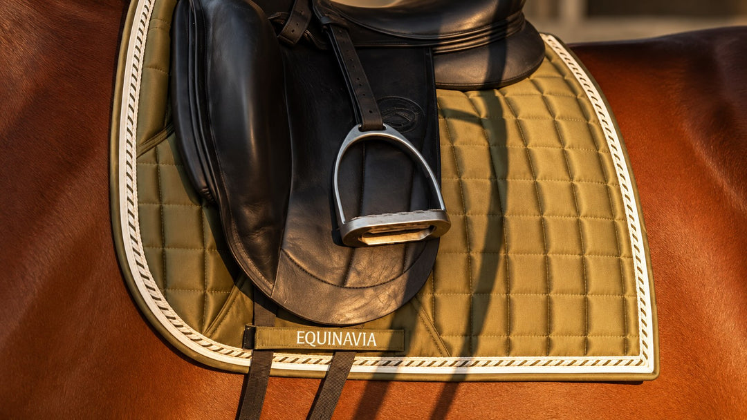 Caring for Your Investment: Tips for Maintaining Horse and Rider Gear