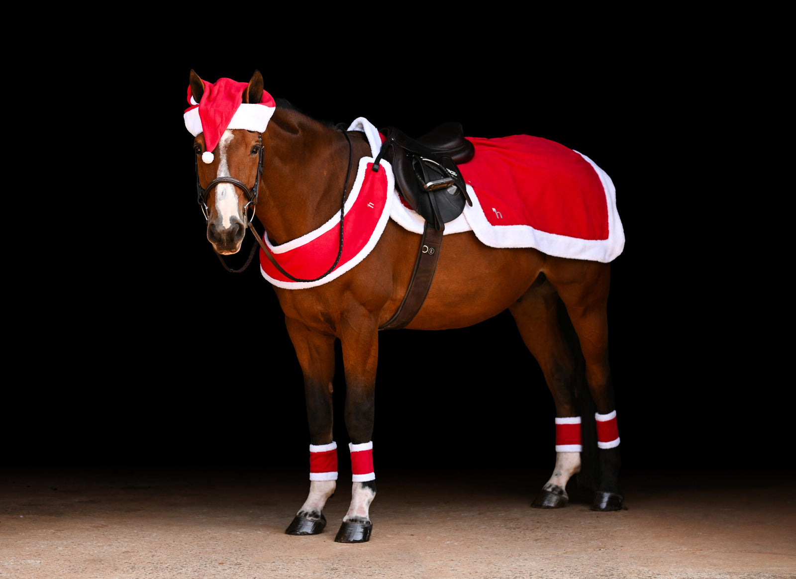 Equinavia’s Ultimate Holiday Gift Guide for Equestrians