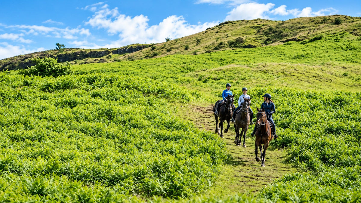 4 Ways Hill Work Benefits Your Horse