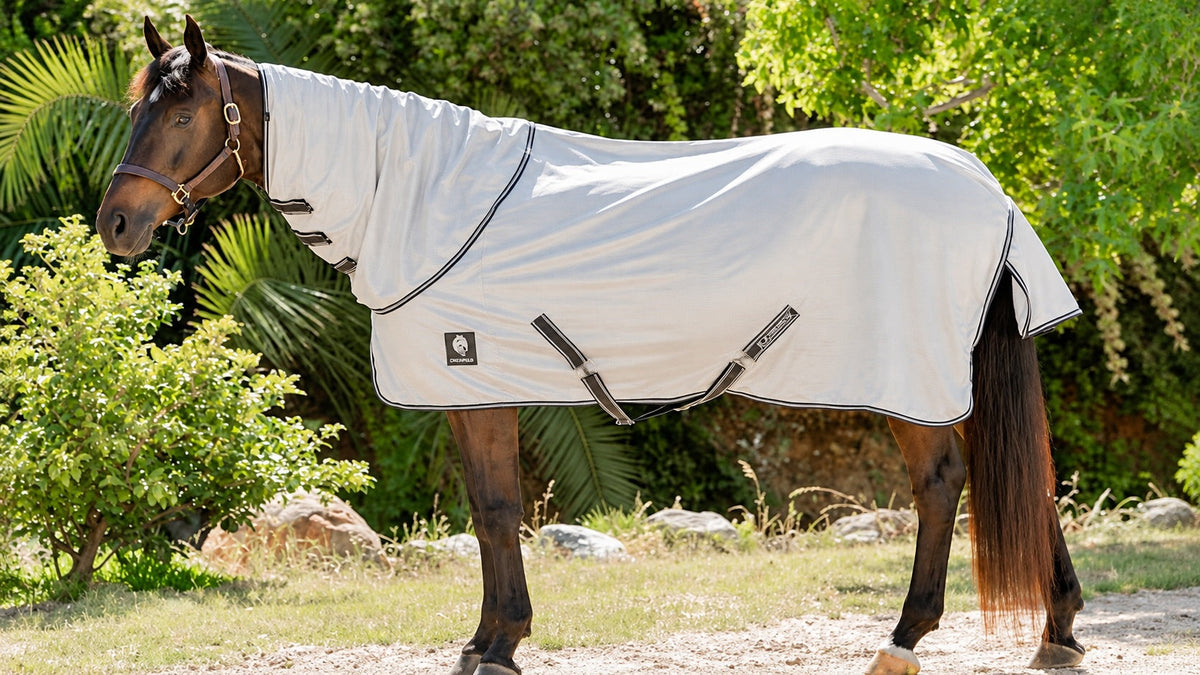 Is Your Horse Summer-Ready? Here’s Why a Fly Sheet and Mask Help