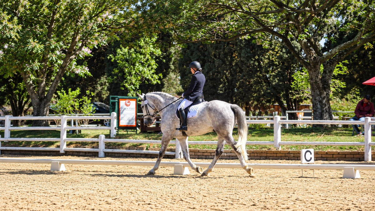 The Complete Guide to Riding a Half Halt