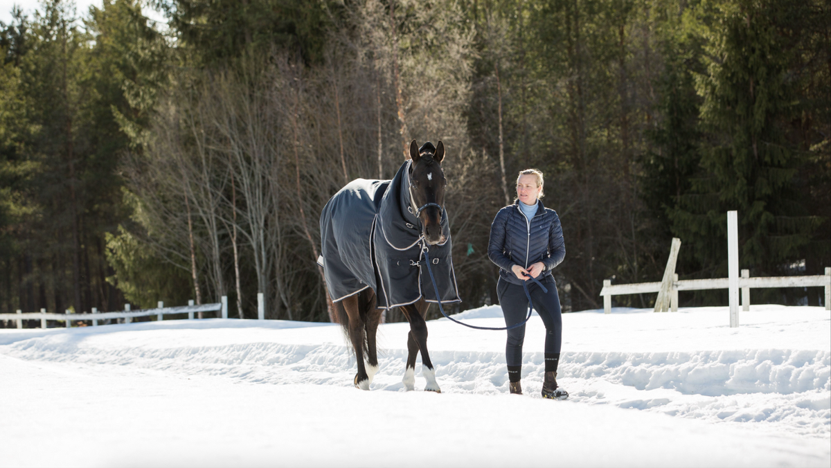 Understanding Equine Hydration in Winter
