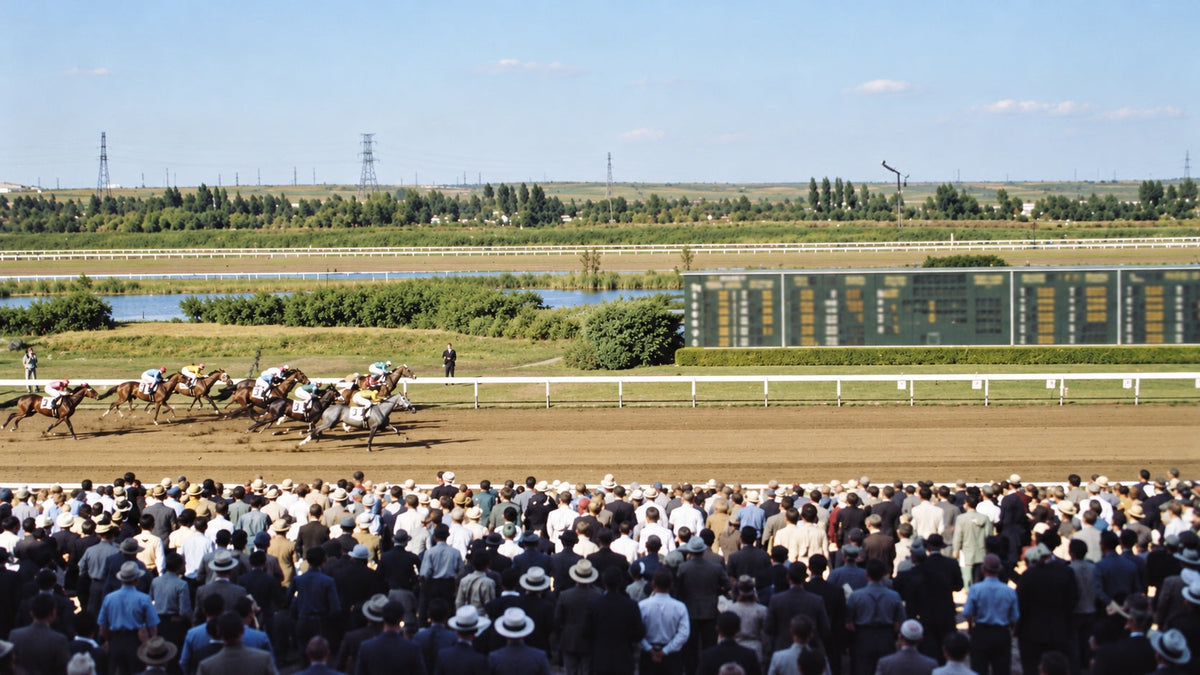 6 Iconic Equestrian Moments Every Rider Should Know