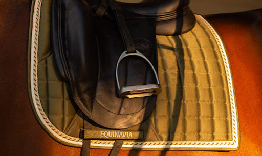 Caring for Your Investment: Tips for Maintaining Horse and Rider Gear