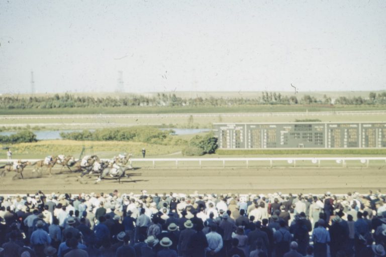 6 Iconic Equestrian Moments Every Rider Should Know