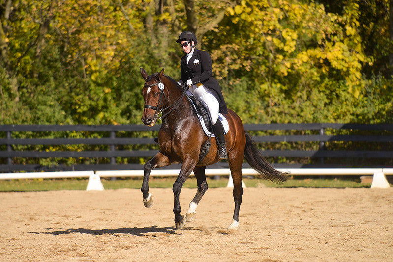 The Dressage Scales of Training: Collection (Part 6 of 6)